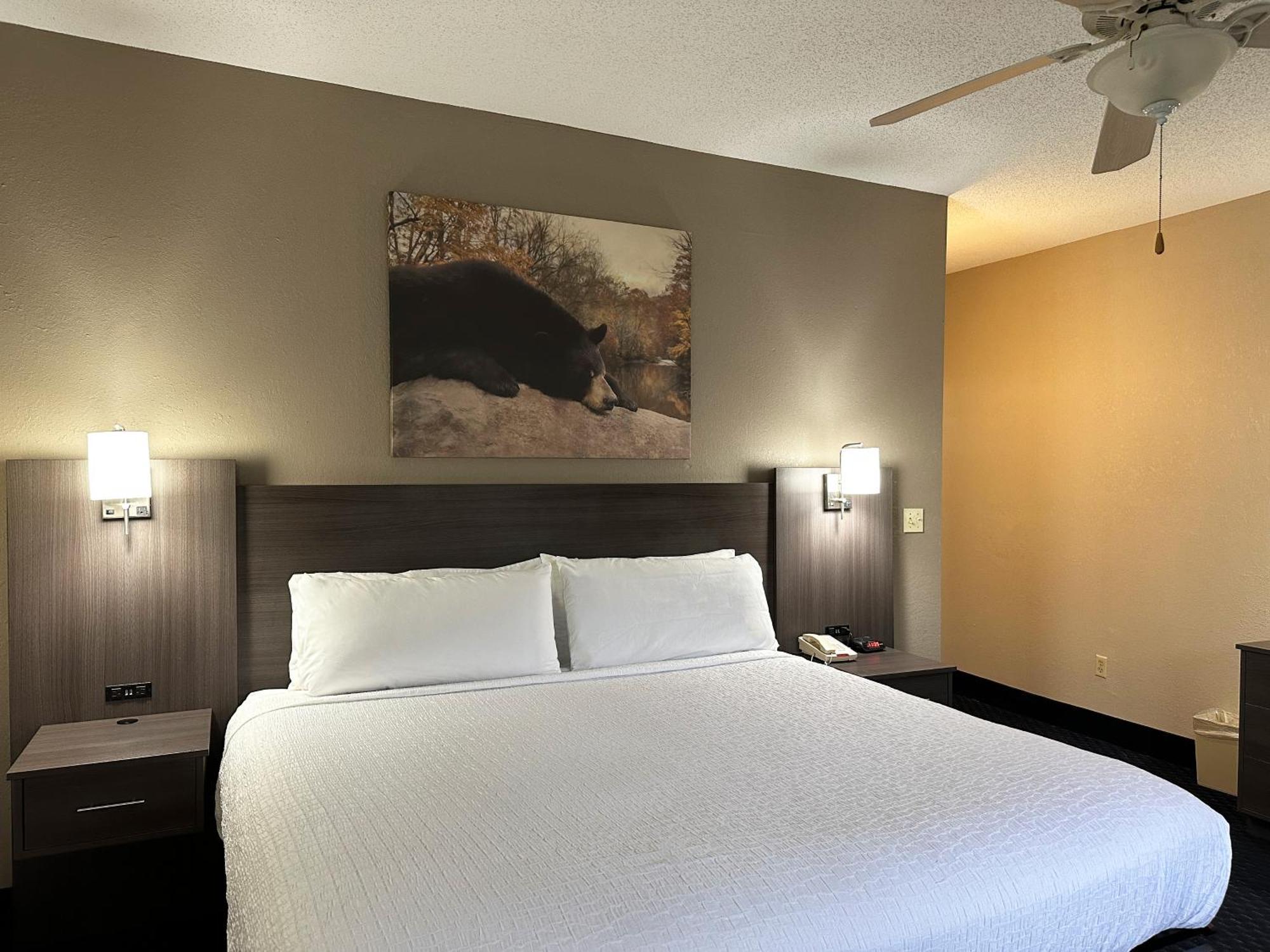 Sidney James Mountain Lodge Gatlinburg Ngoại thất bức ảnh